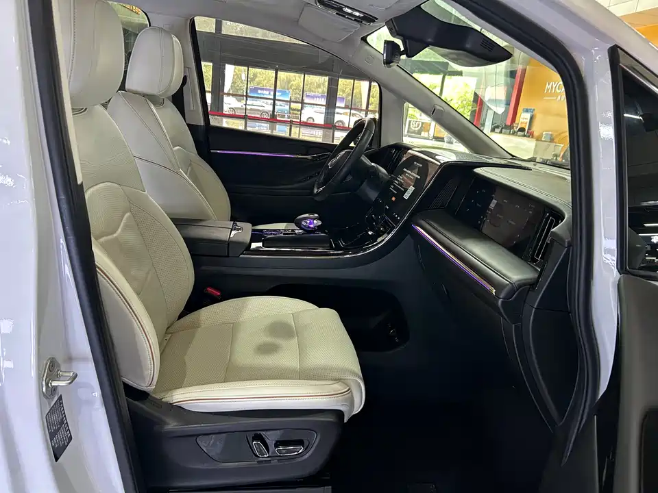 Trumpchi Trumpchi E9