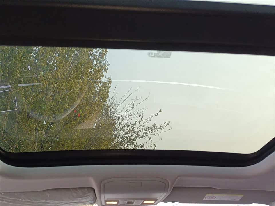 Volkswagen C-TREK Wei Collar