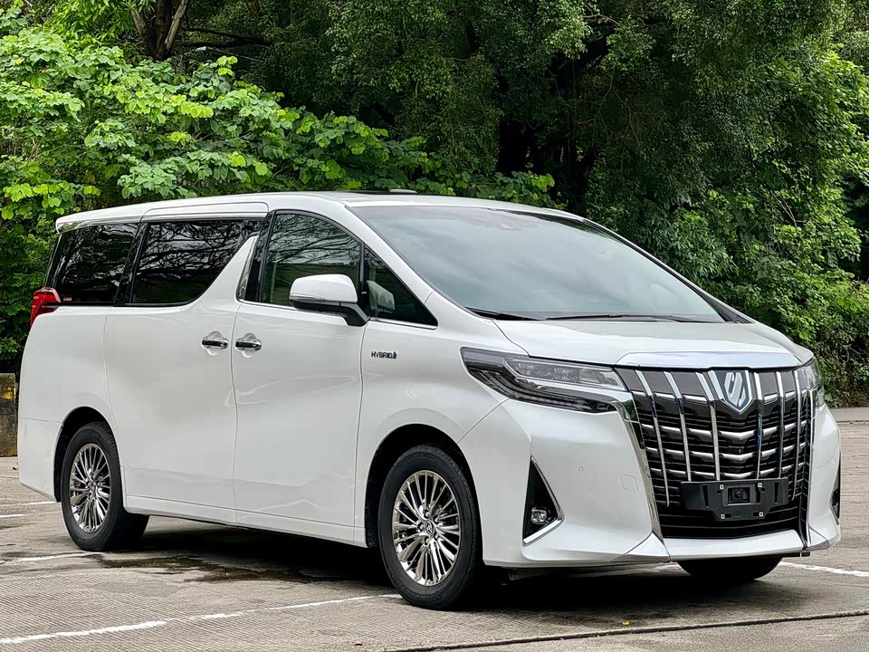 Toyota Elfa