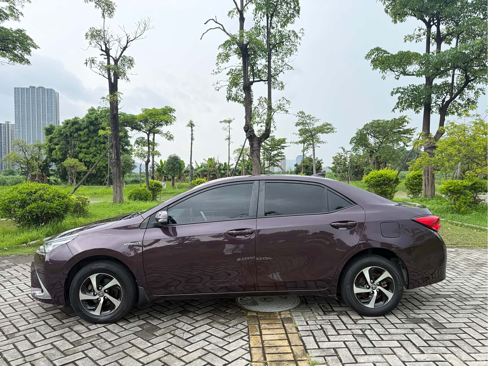 Toyota Levin, 2017 4
