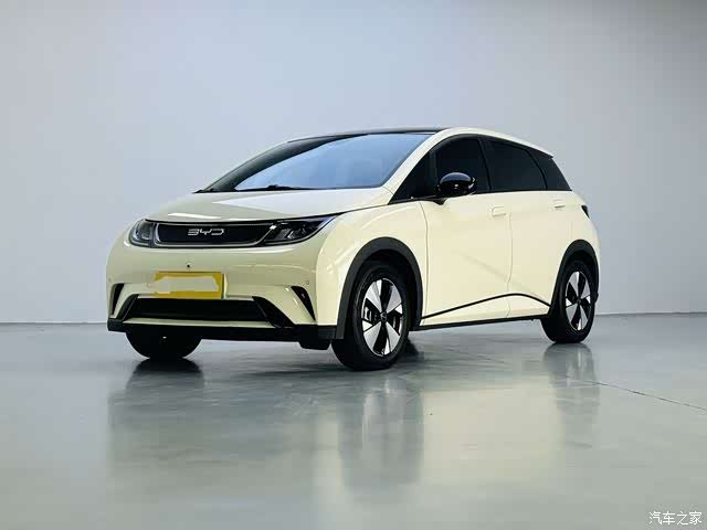 BYD Dolphin, 2023 1