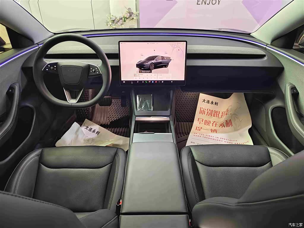Tesla Model 3, 2024 11