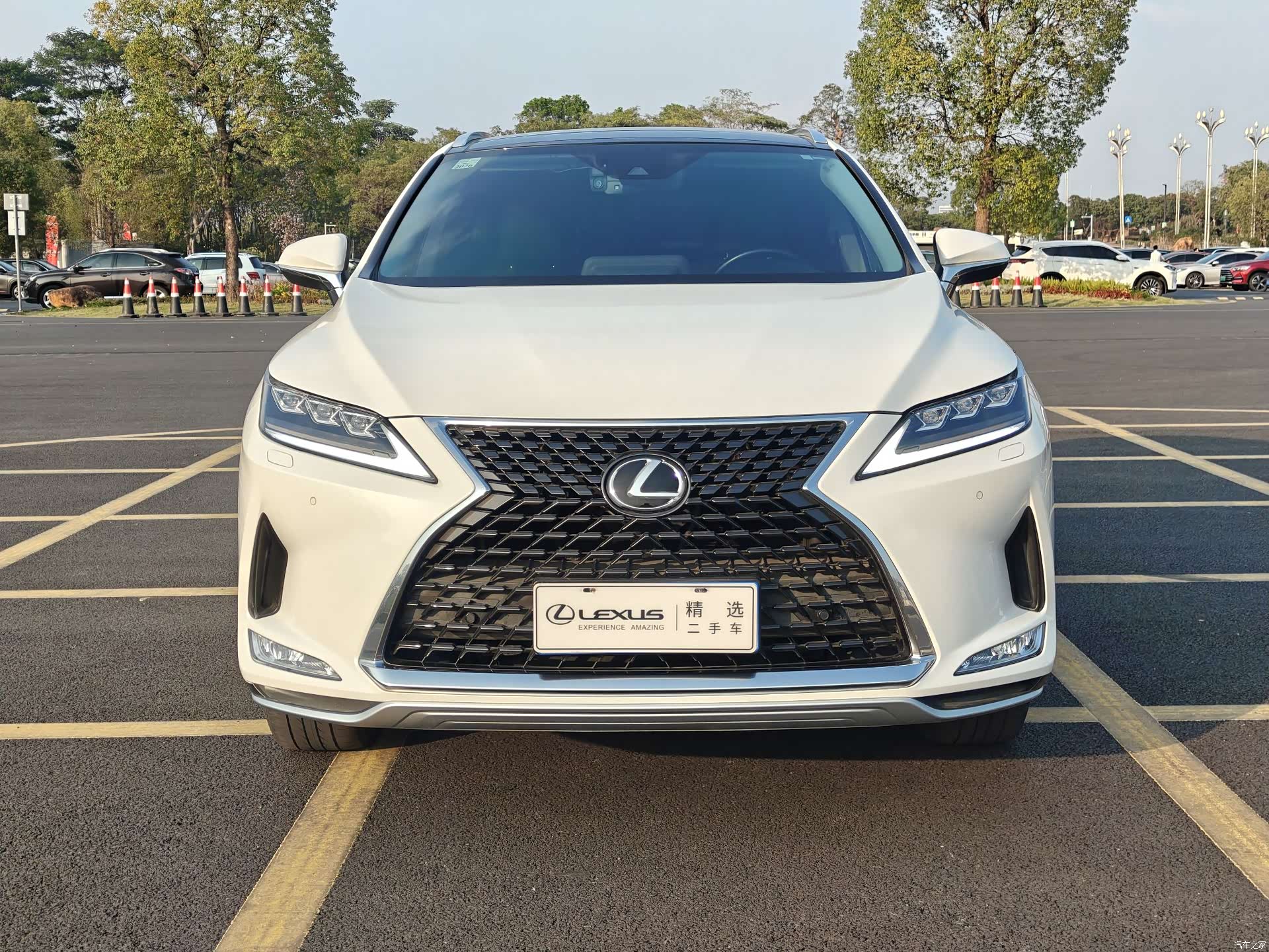 Lexus RX, 2022 2