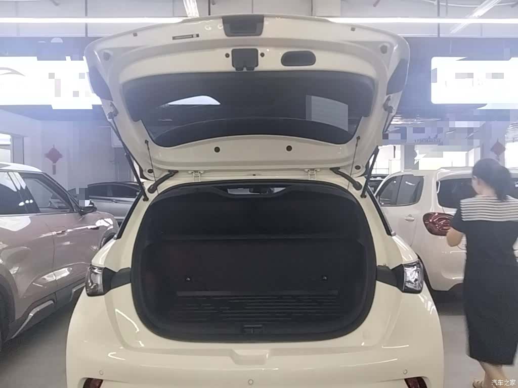 BYD Dolphin, 2026 15