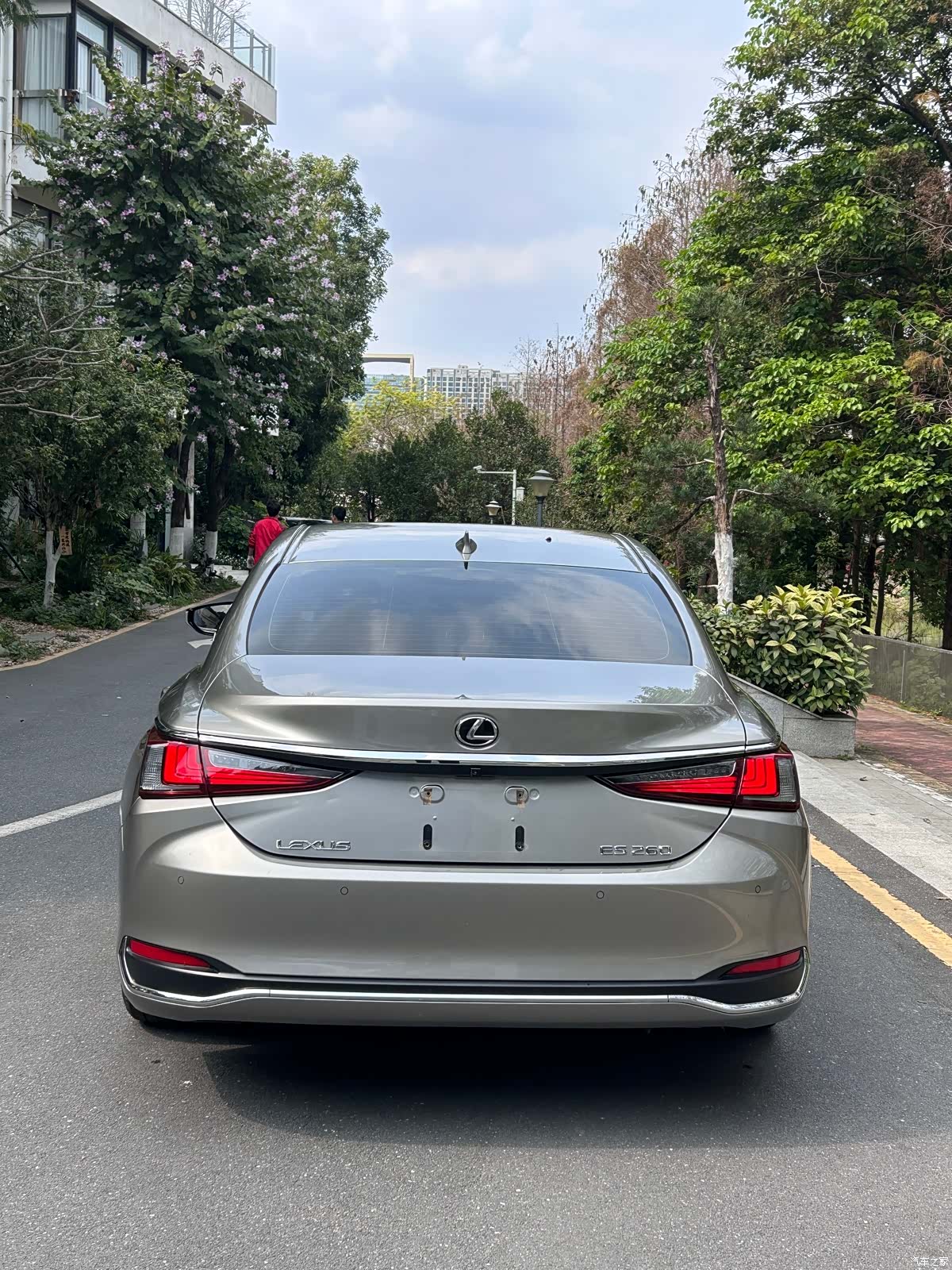 Lexus ES, 2020 6