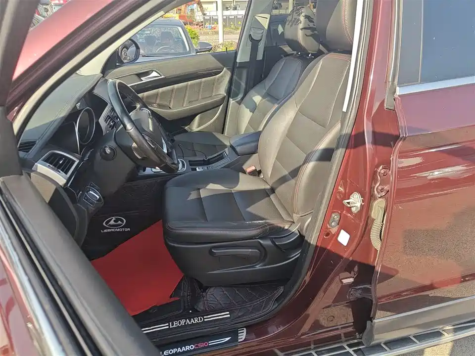 Leopaard Cheetah CS10