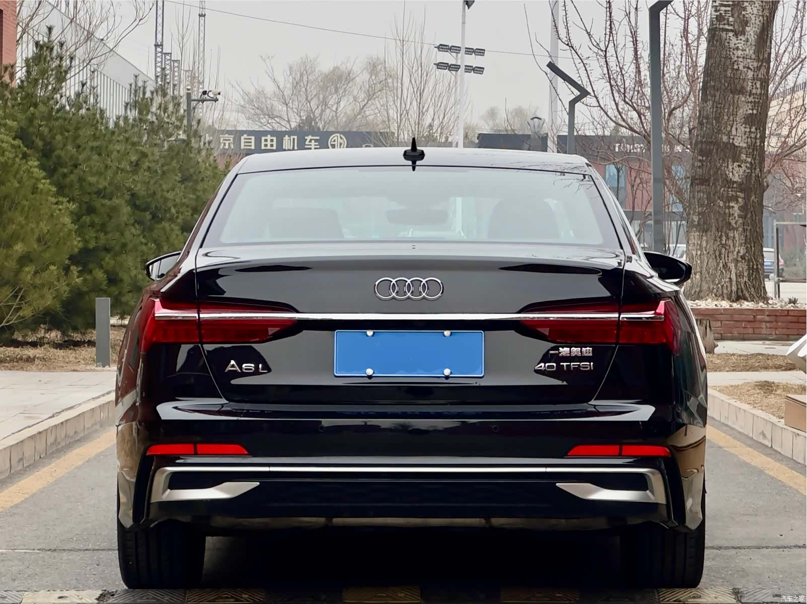 Audi A6L, 2024 все фото