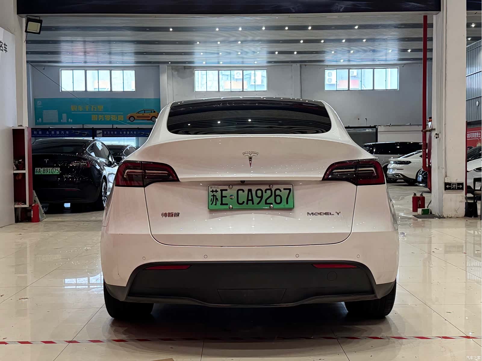 Tesla Model Y, 2021 все фото