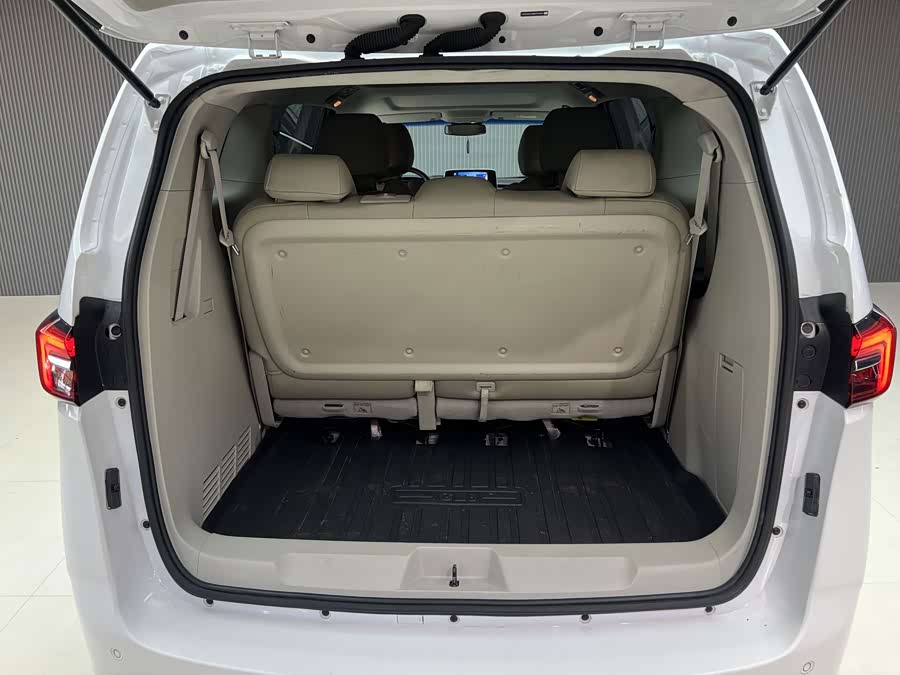 Buick GL8 2021, фото 10