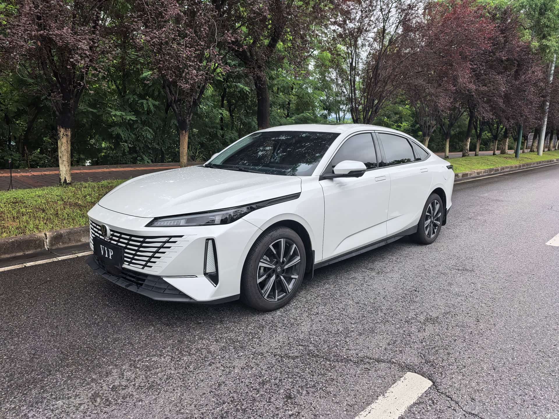 Changan Eado, 2024 1