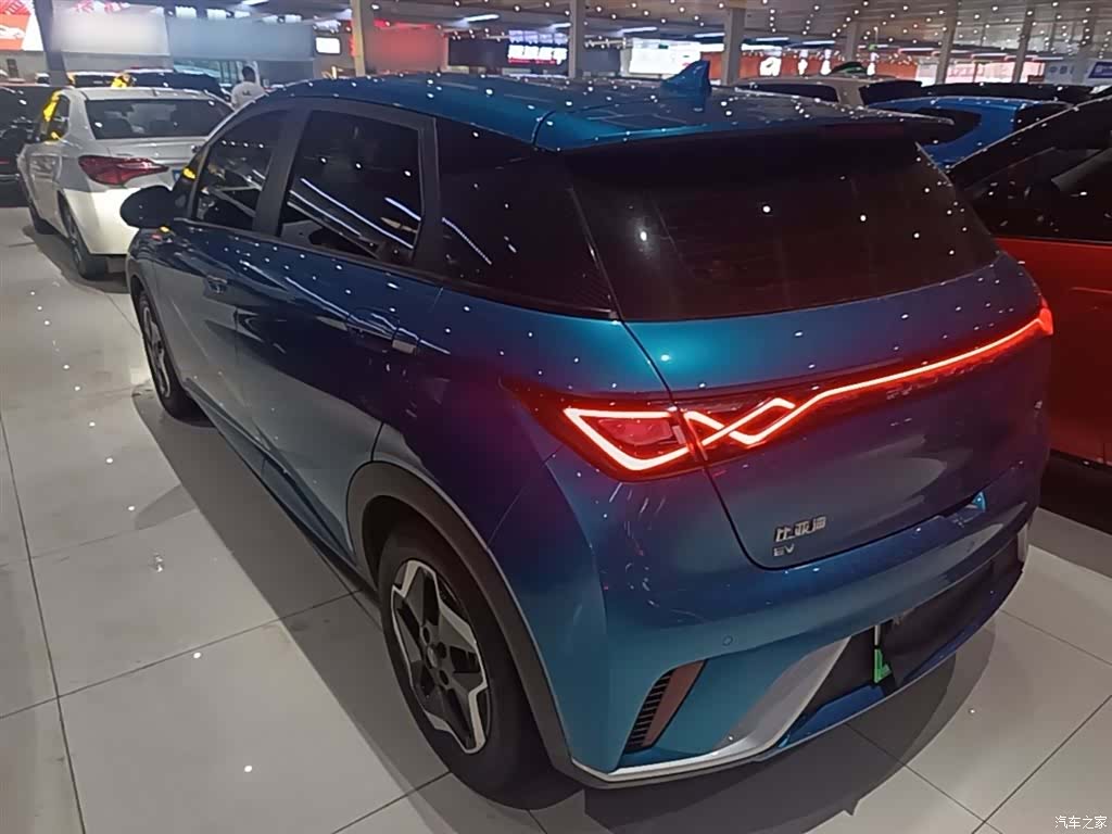 BYD Dolphin, 2023 все фото