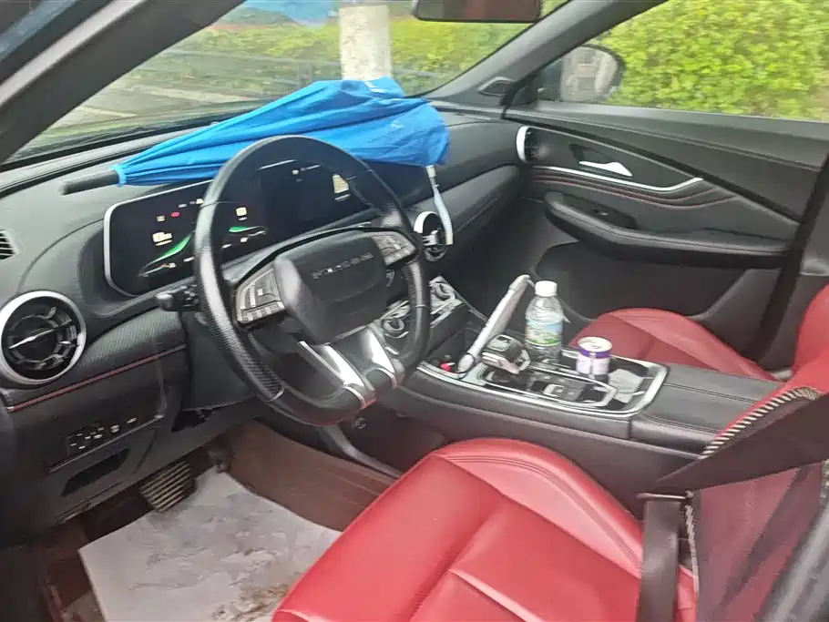 Forthing Popular T5 EVO