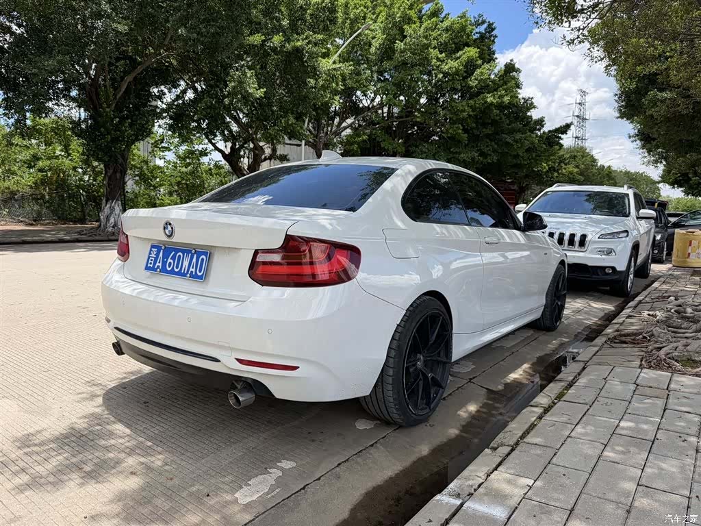 BMW 2 Series, 2014 2