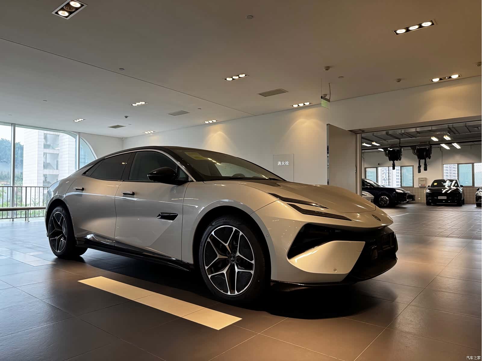 Lotus EMEYA, 2026 3