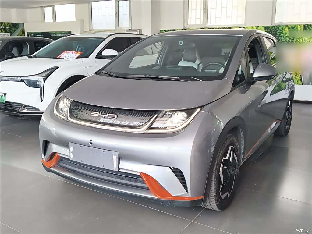 BYD Dolphin, 2022 1