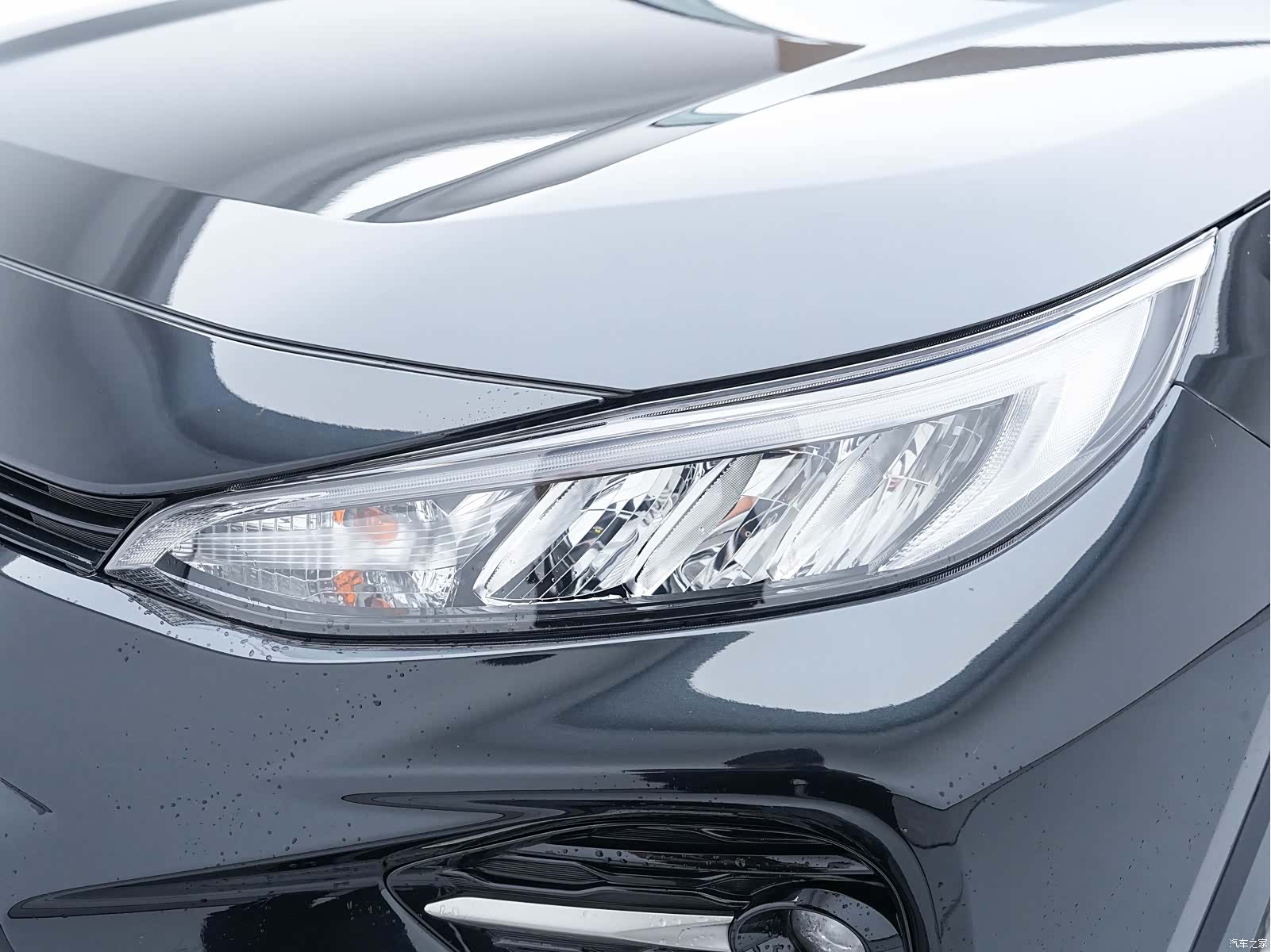 Toyota Wildlander, 2022 23