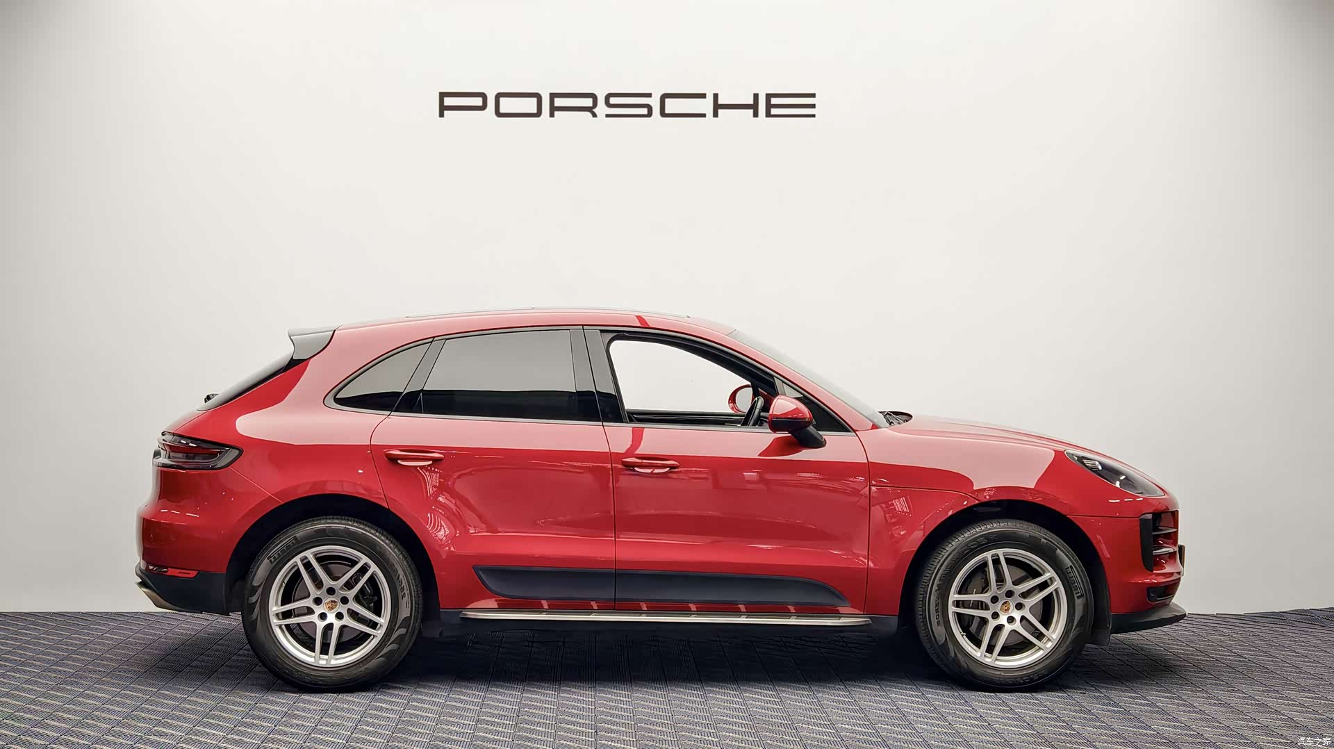 Macan Macan, 2019 8