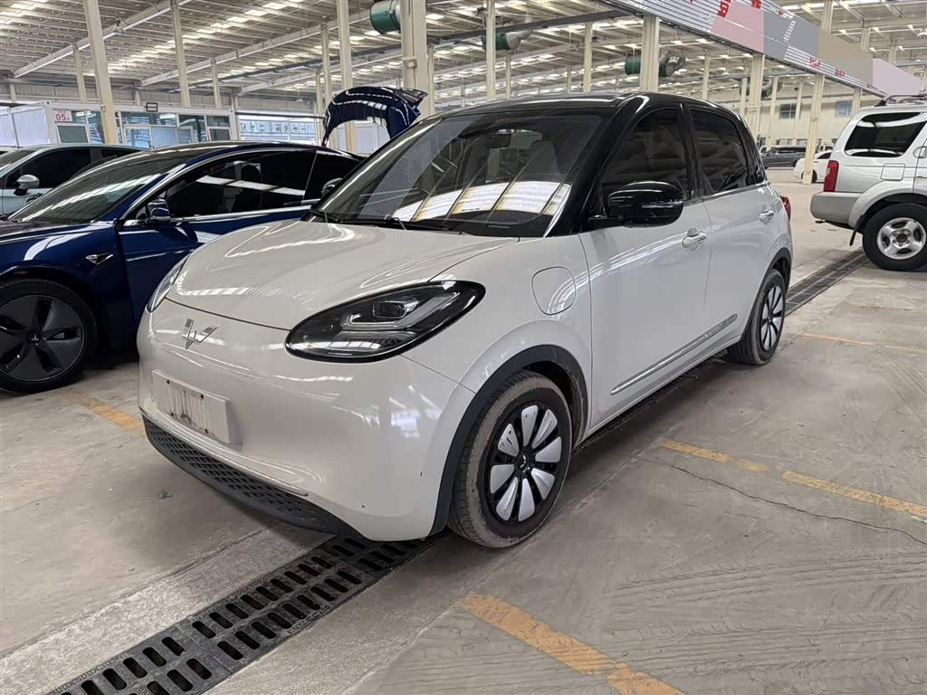 Wuling Binguo