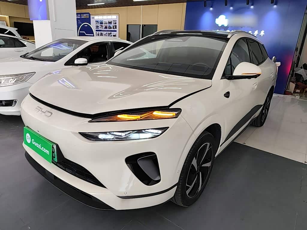 BYD Sea Lion 06