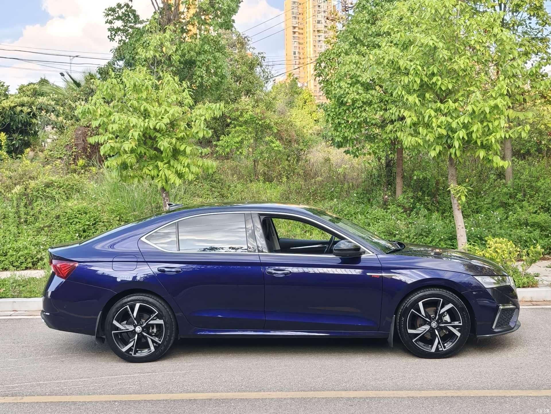 Skoda Octavia, 2022 все фото