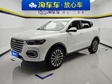 ����H6 2020�� 1.5GDIT �Զ�����ھ���