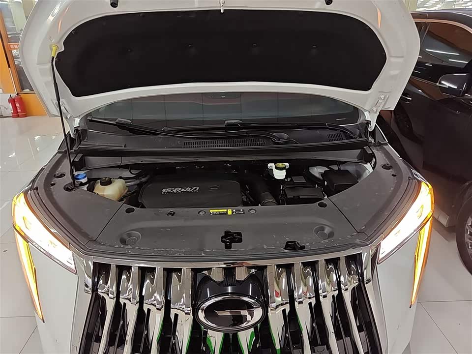 Trumpchi Trumpchi M8