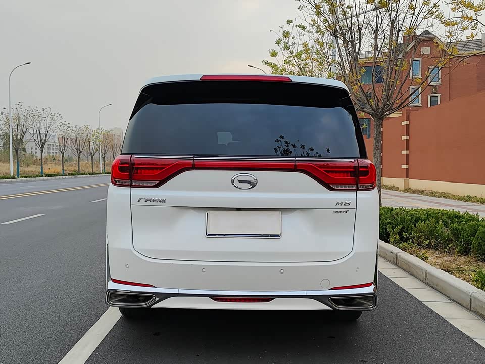 Trumpchi Trumpchi M8