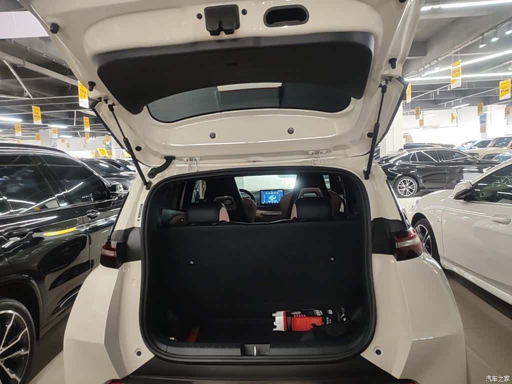 BYD Seagull, 2024 19