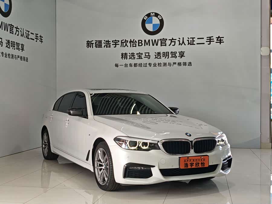 BMW 5 Series 2019, фото 3
