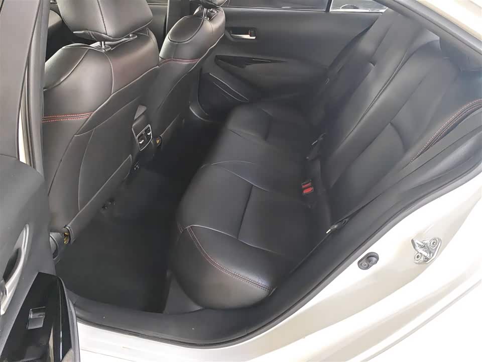 Toyota Asian lion