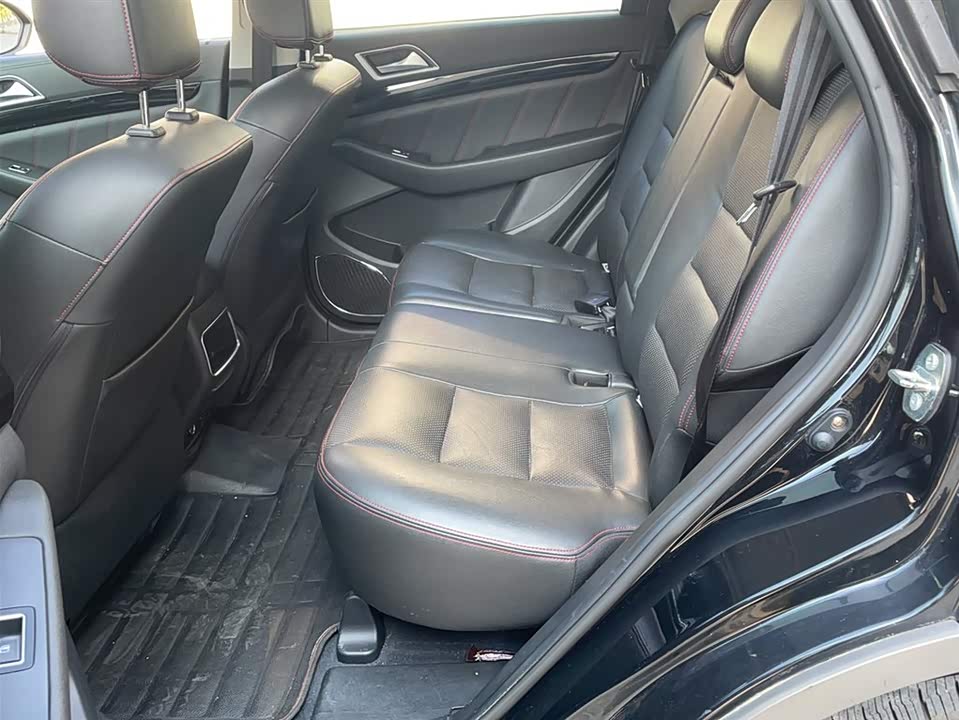 Leopaard Cheetah CS10