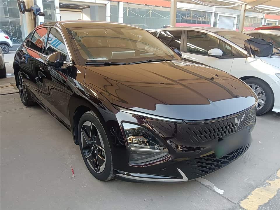 Wuling Wuling Starlight