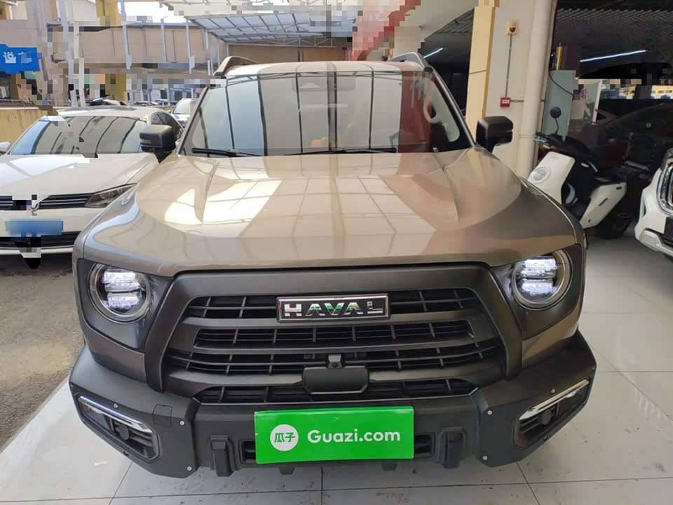 Haval Big dog