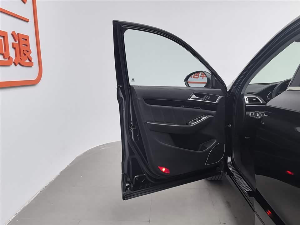 Leopaard Cheetah CS10