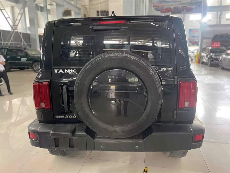Tank 300