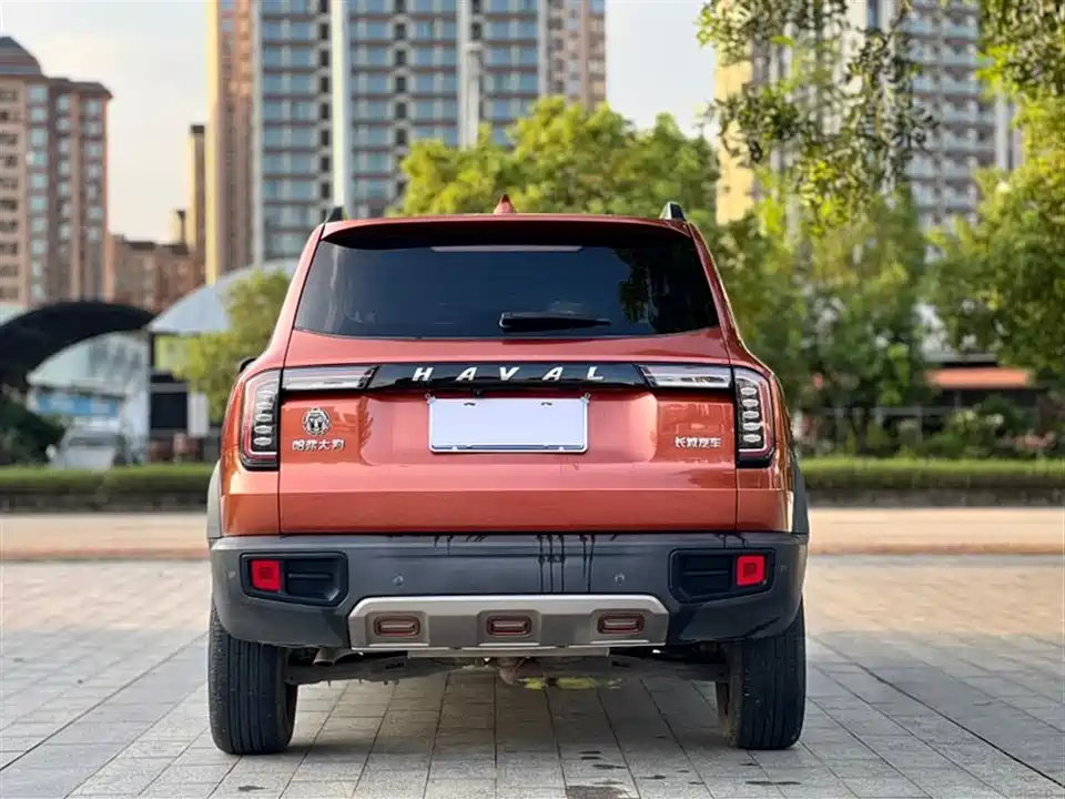Haval Big dog