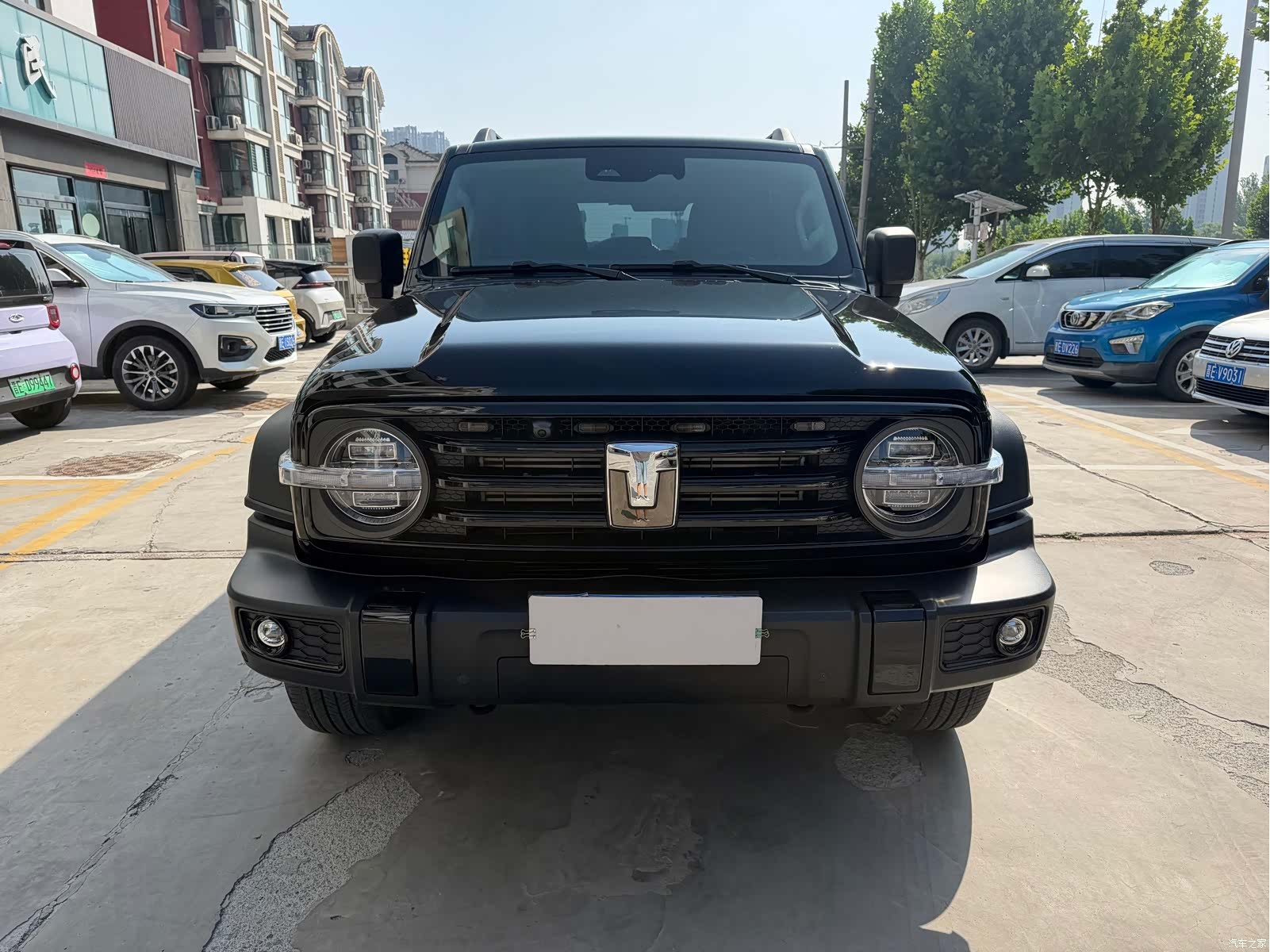 Tank 300, 2024 2