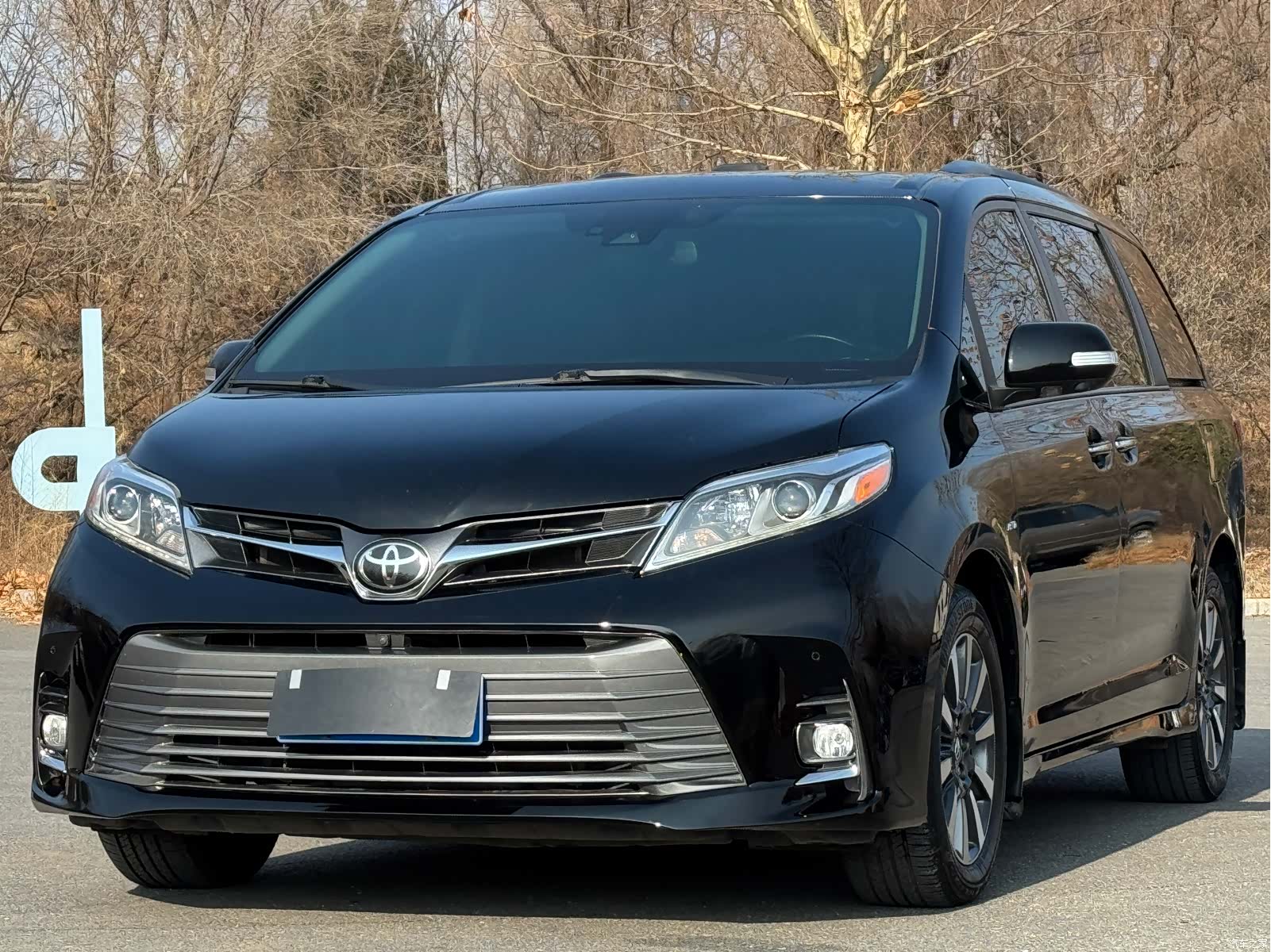 SIENNA LTD, 2018 1