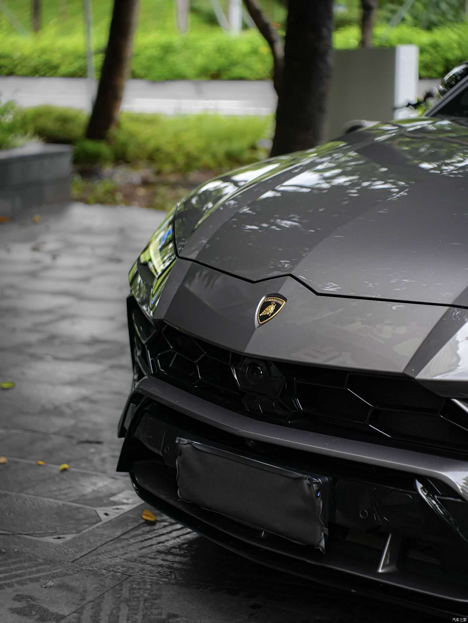 Lamborghini Urus, 2021 все фото