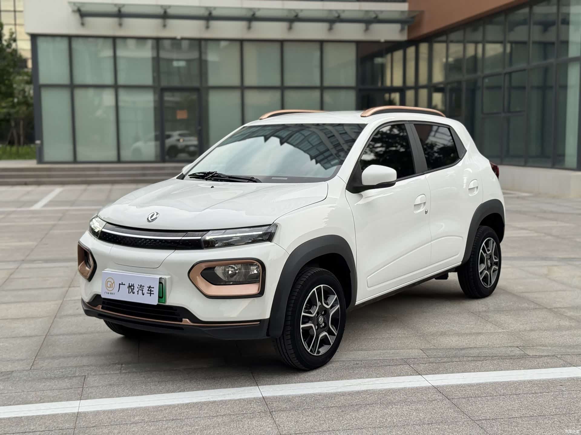 DongFeng EX1, 2023 1