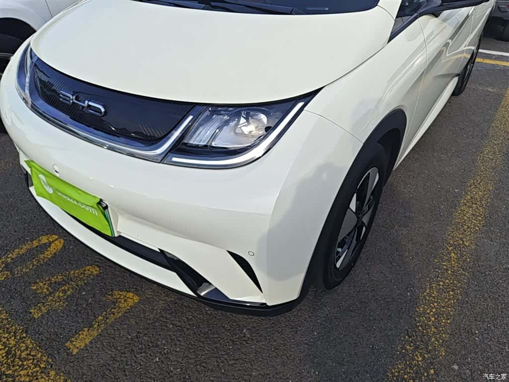 BYD Dolphin, 2024 24