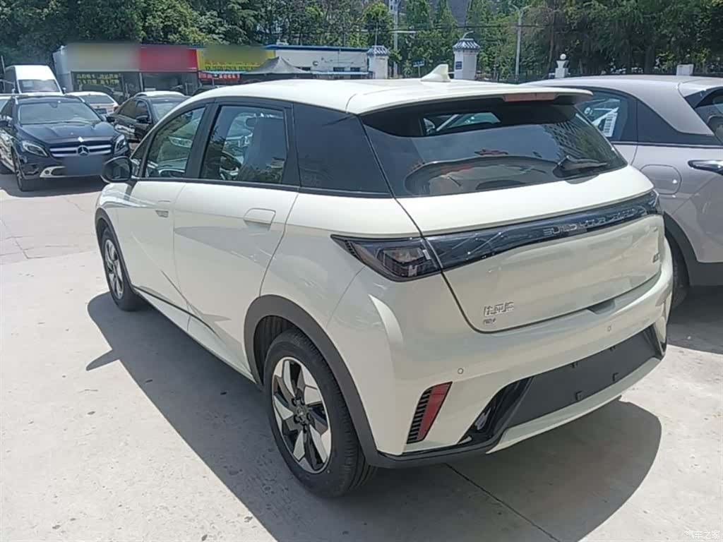 BYD Dolphin, 2026 все фото