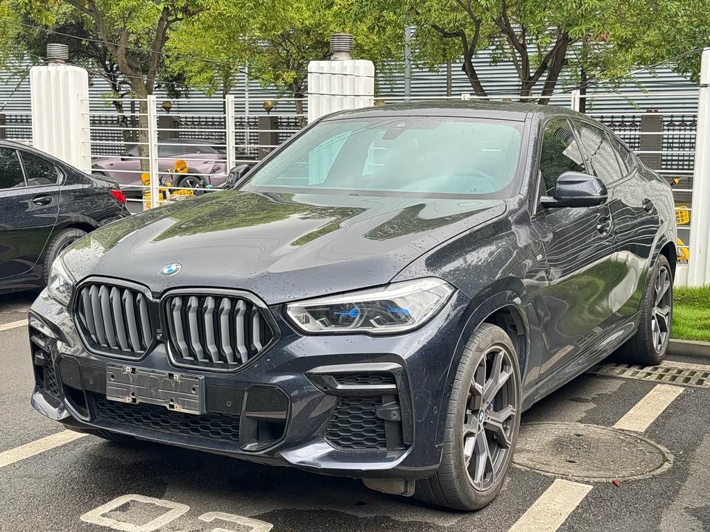 BMW X6