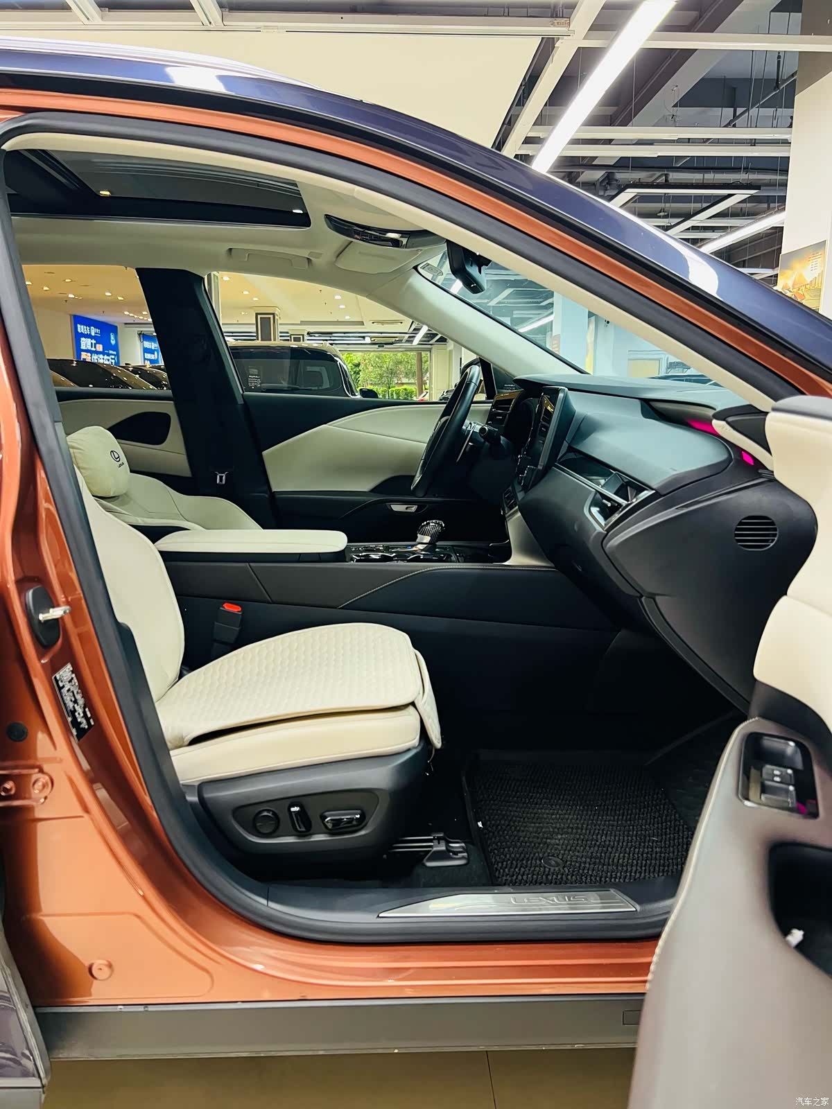 Lexus RX, 2023 11
