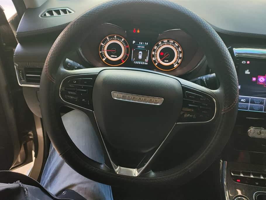 Leopaard Cheetah CS9