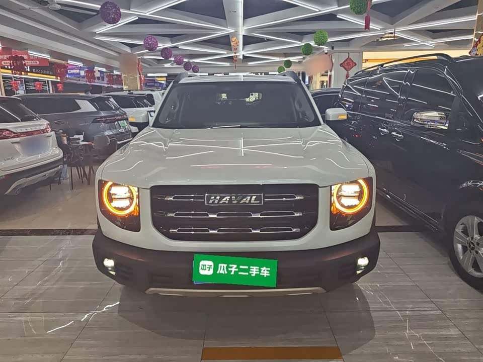 Haval Big dog