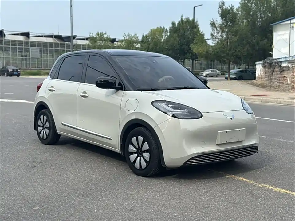 Wuling Wuling Bingguo
