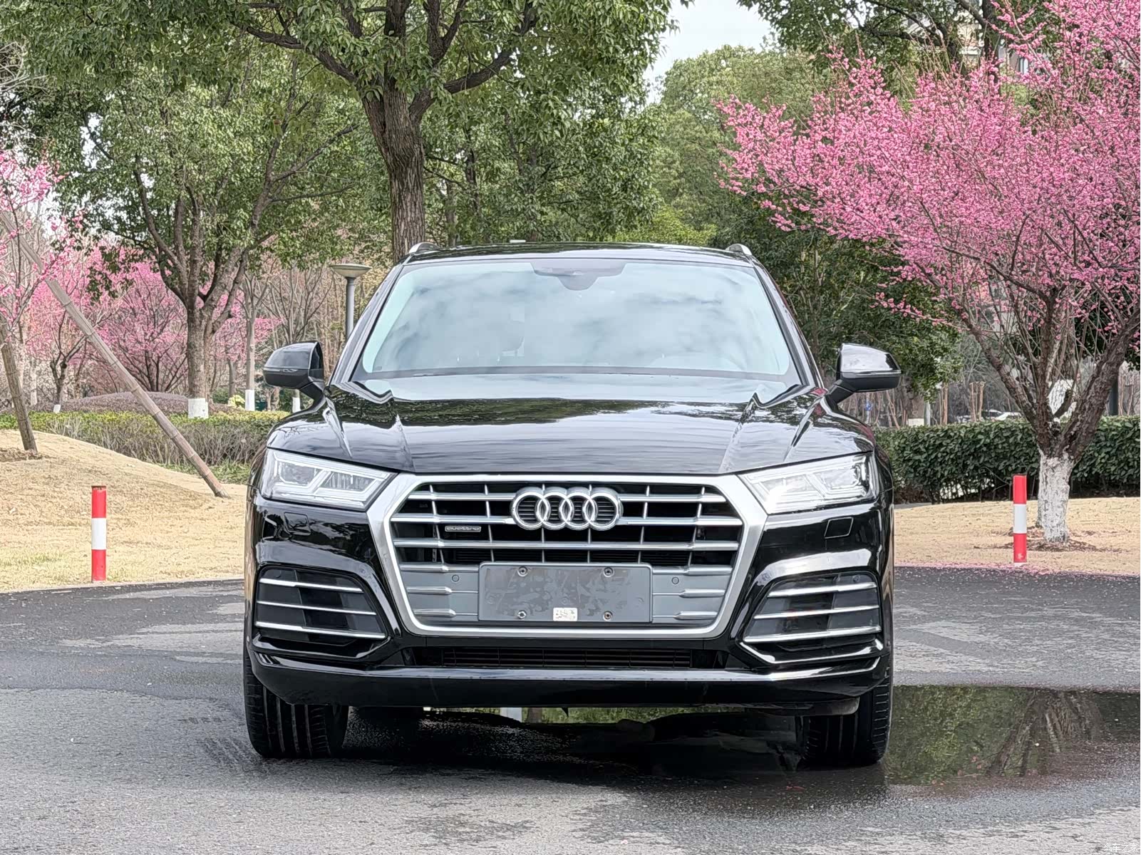 Audi Q5L, 2019 2
