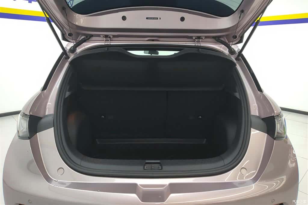 BYD Dolphin, 2024 4