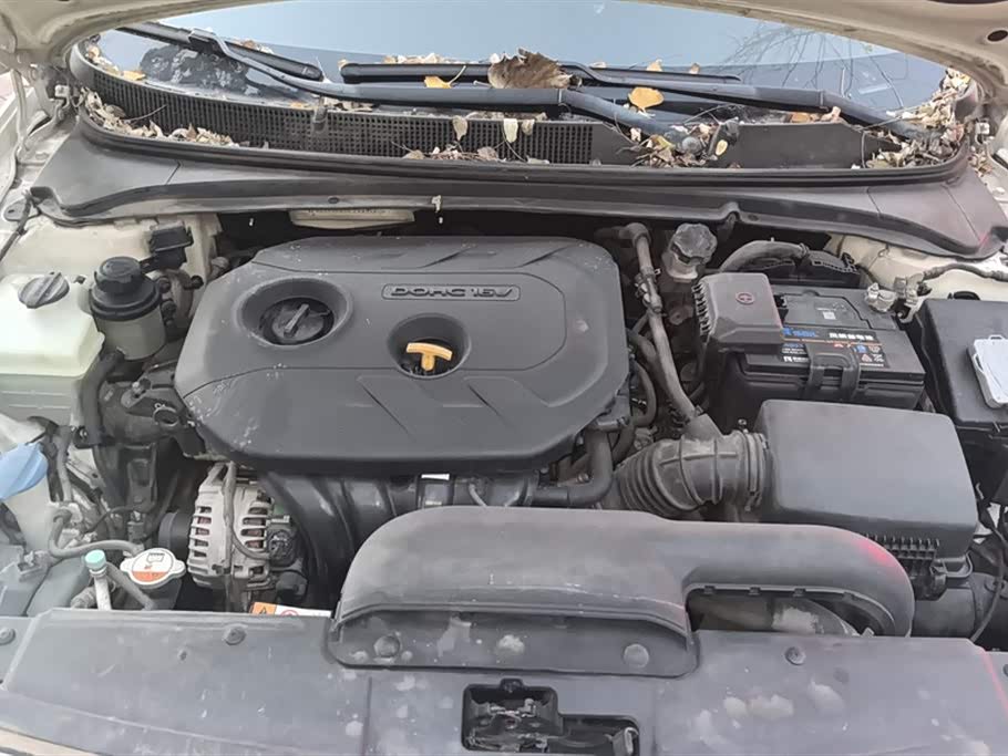 Hyundai Name picture